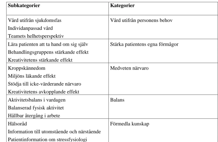 Tabell 2. Översikt över subkategorier och kategorier 