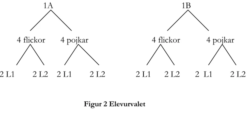 Figur 2 Elevurvalet 