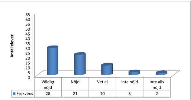 Figur 5. Diagrammet visar hur nöjda eleverna är med den SVA - undervisningen som de får ta del av