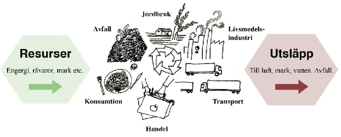 Figur 2: Exempel på olika delar av en matvaras livscykel. Illustration: Anna Hasslöf    