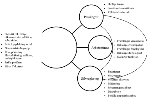 Figur 1. Teoretisk modell av provångest (tre delskalor), arbetsminne (fem delskalor), själv- själv-reglering (sju delskalor) och matematikprestation (sex delprov)