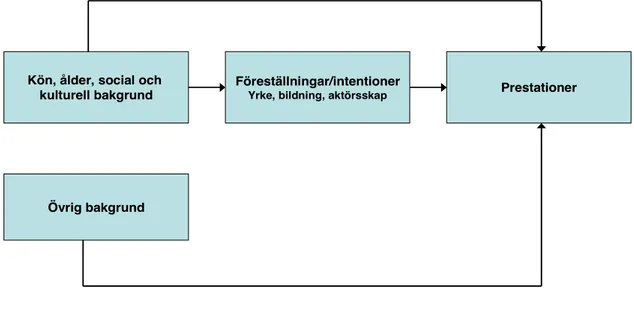 Figur 1.  Övergripande gruppering av variabler i undersökningen 