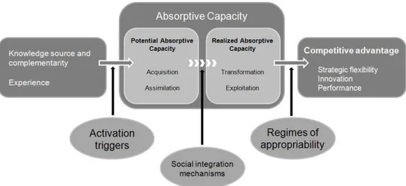 Figure 8: Absorptive Capacity 