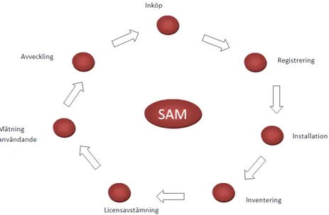 Figur 1 - SAM-processen 
