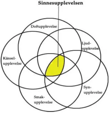 Figur 2. Sinnesupplevelsen  Källa: Skapad efter Hultén m.fl. (2007:19) 