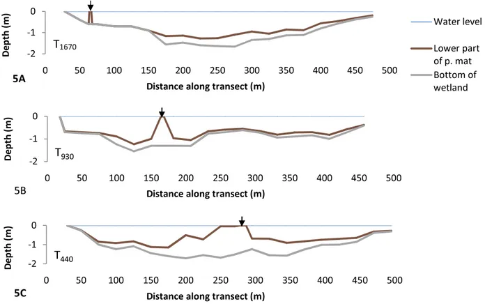 Fig 5A-C. Depth profiles along three transects 1670, 930 and 440 m from the outflow (T 1670 , T 930  and T 440 ) 