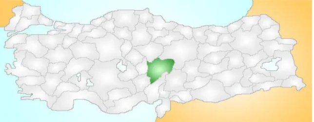 Figur 1 visar provinsens geografiska läge (grön markering) i Turkiet 