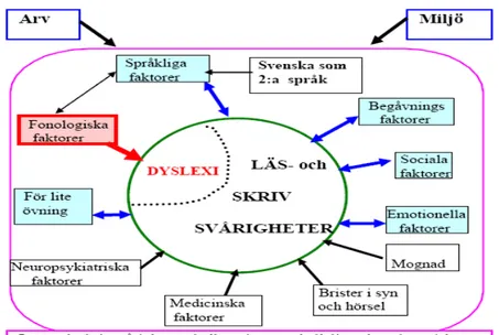 Figur 1: Faktorer som beskriver Läs- och skrivsvårigheter och Dyslexi 
