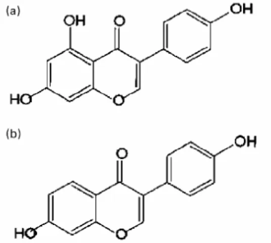 Fig 5. Strukturer över a) genistein och b) daidzein (6 med tillstånd från Dr. Pamela Magee)  Vissa hydroxylerade flavoner fungerar som aromatasinhibitorer
