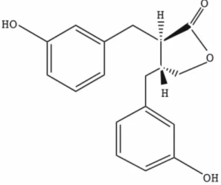 Fig 7. Enterolakton (34 med tillstånd från www.chemicalnet.se) 