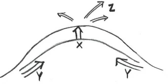 Figur 2. Epitelcellernas migration i cornea förklarad med X, Y, Z- teorin,  
