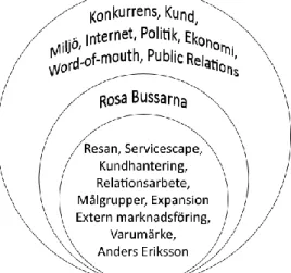 Figur 5: Rosa Bussarnas miljö kring och inom företaget 