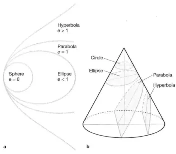 Figur 1a: Visar de olika former som man kan likna corneas form vid. Centrala cornea har normalt formen av en  ellips och har då ett e-värde runt 0,45
