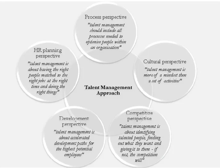 Figure 4.5 The model of choiceful view to talent management (according to Lubitsh, G. And  Marcus Powell, 2007) 