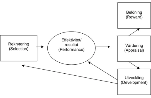 Figur 1 ”The human resource cycle” - Bergström och Sandoff (2006, sida 15)