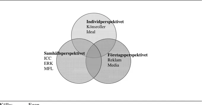Figur 3.1  Tre perspektiv på den teoretiska referensramen 