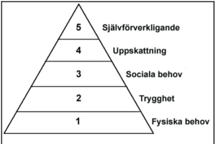 Figur 3.1 – Maslows behovshierarki 32