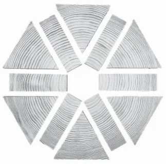 Figure 1.  Star-sawing - a sawing pattern to produce timber with vertical annual rings free from pith and most of the juvenile wood.
