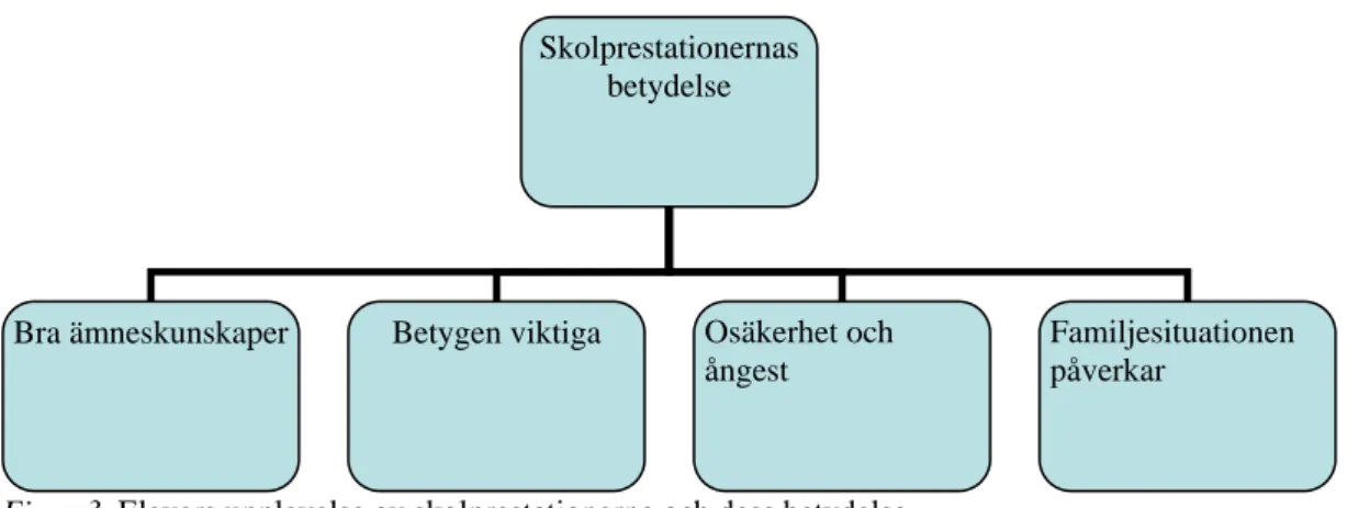 Figur 3. Elevers upplevelse av skolprestationerna och dess betydelse. 