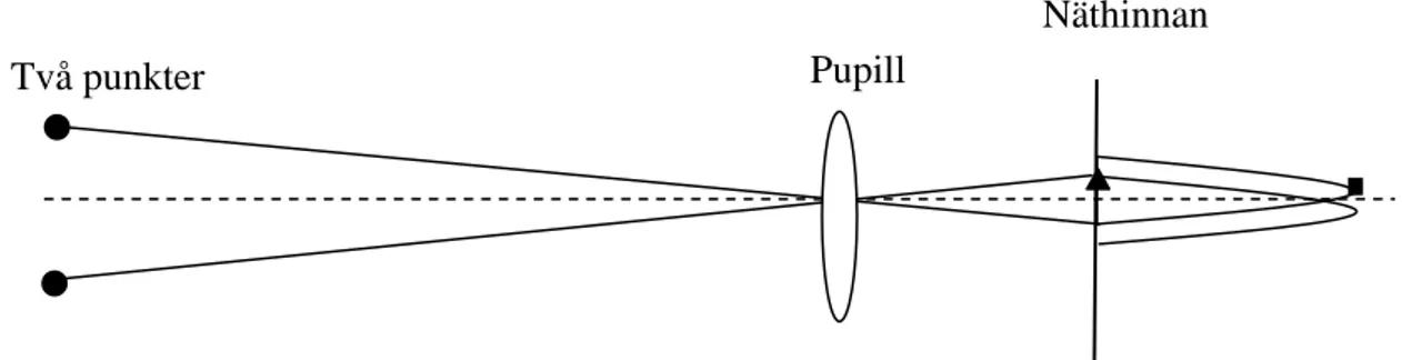 Figur 2. Illustrationen visar två punkter som ses genom ett öga och avbildas på näthinnan