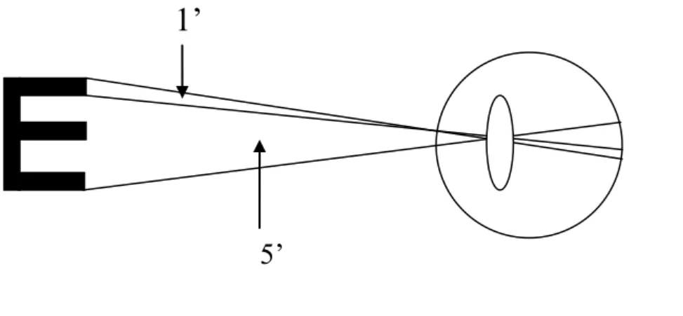 Figur 3. På raden 1,0 motsvarar grundstrecksbredden på en optotyp 1 MAR det vill säga 1’