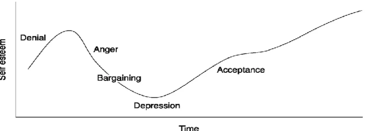 Figure 3-3 The process of change and adjustment, (Kubler-Ross, 1969)