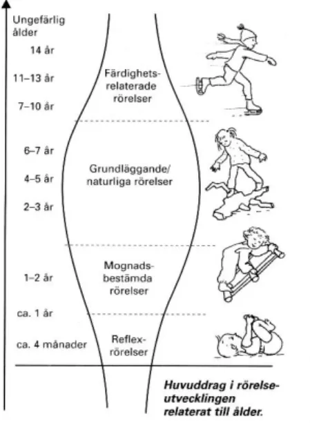 Figur 2. Huvuddrag i rörelseutvecklingen relaterat till ålder. (Jagtöien m.fl, 2002, s