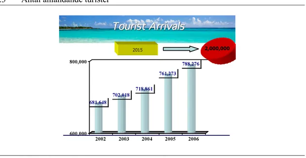 Figur 4.3  Antal anländande turister 
