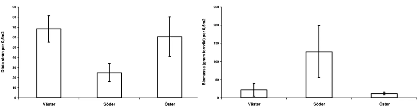 Figur 13:  Antalet döda strån (n=3) per  0.5m 2  per provområde Väster, Öster och  Söder i sjön Gästern