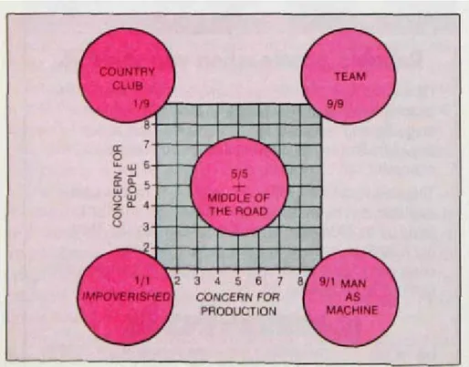 Figure 3.2: Leadership Grid: source: Gautschi (1989), p.226 