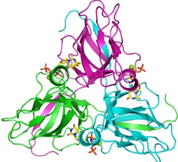 Figure  1.3  The  E.  coli  dUTPase  with  the  substrate  analogue  α,β -imido  dUTP ⋅ Mg  (PDB  1RN8)