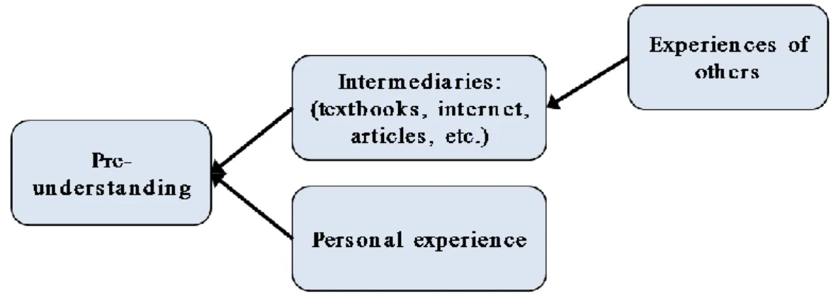 Figure 3.1: Sources of pre-understanding 