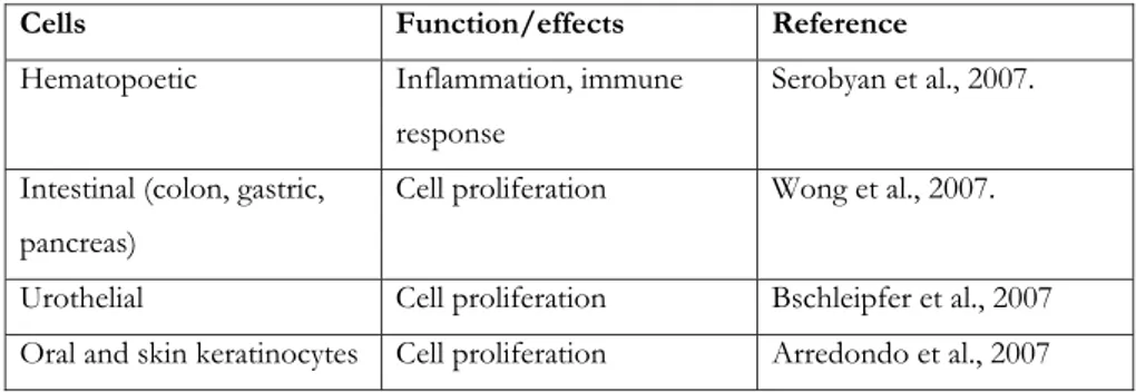 Table 4. Non-neuronal nAChRs are expressed in various cell types. 
