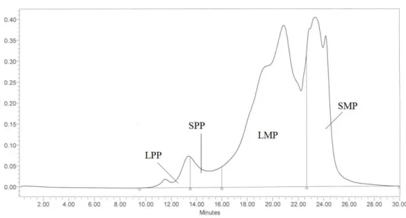 Figur 3. Example of a chromatogram for SDS-extractable proteins. (LPP = large polymeric proteins,  SPP = small polymeric proteins, LMP = large monomeric proteins, SMP = small monomeric proteins) 