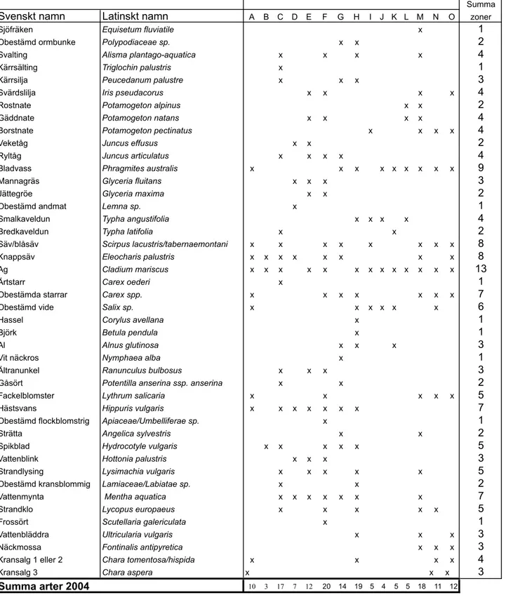 Tabell 1. Artlista för strandkantsvegetationen och dominerande arter i Hornsjön 2004.