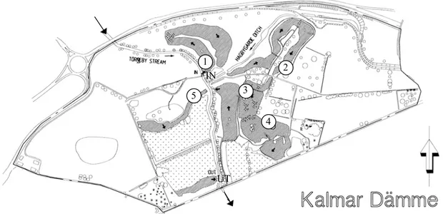 Figur 3.  Kalmar Dämme våtmarkssystem. Bottenfauna provtogs vid lokalerna 1 – 5.  Gråstreckade ytor är öppet vatten, prickade ytor är vassområden