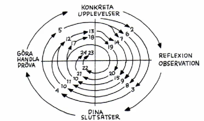 Figur 1. Kolbs cykliska process (Holmberg, 2001, s 27)    