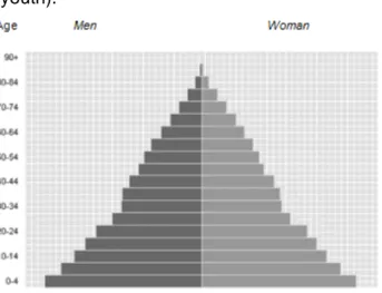 Figure 1.1a Balanced overview demographic of   Figure 1.1b Present overview demographic of  