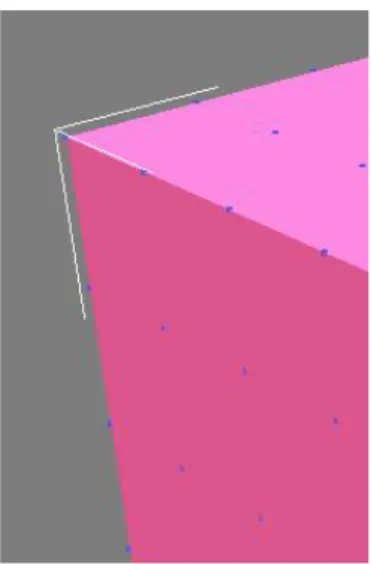 Figur 6. Här visas vertex-punkterna på en rosa box, som blåa punkter. 