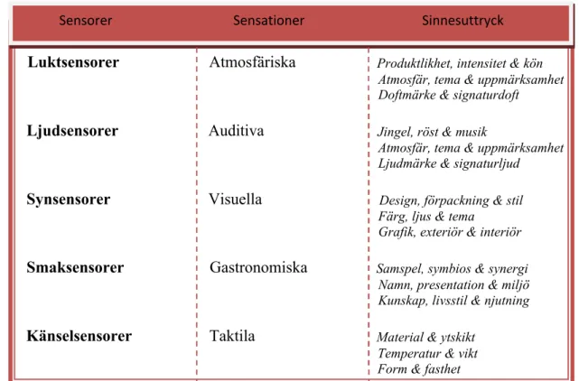 Fig. 3.3.6 Sensorer, sensationer och sinnesuttryck. (Hultén et al. 2008:166)            Sensorer                                    Sensationer                                   Sinnesuttryck  