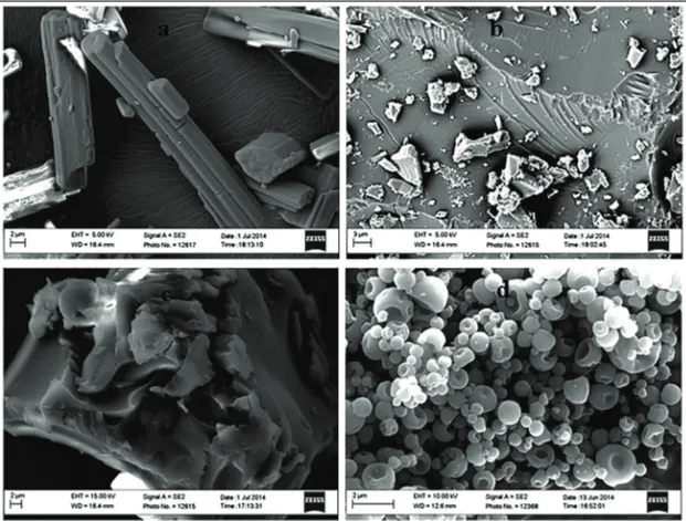 Figure  8.  Scanning  electron  microscope  photographs  of  (a)  crystalline  ezetimibe (EZ), (b) amorphous EZ, and (c) melt-quenched (MQ1) and (d)  spray-dried (SD1) solid dispersions of EZ