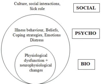 Figure 3. The biopsychosocial model according to Waddell &amp; Burton (2005),  slightly modified by the author (TC)