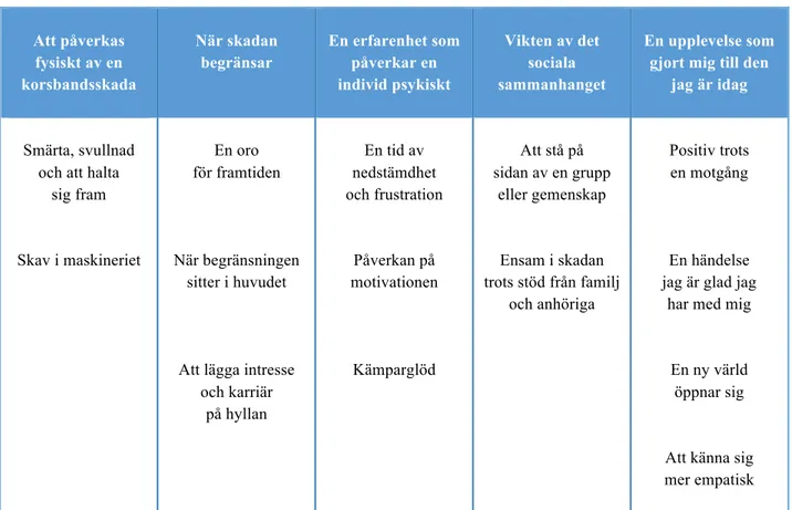 Tabell 1: Översikt över kategorier och subkategorier  