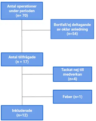 Figur 1. Flödesschema över urvalsförfarande och bortfall.  