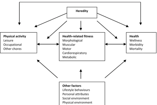Figure 1. A model  describing the  relationships between habitual physical activity, health­  related fitness, and health status (Bouchard et al, 1994)