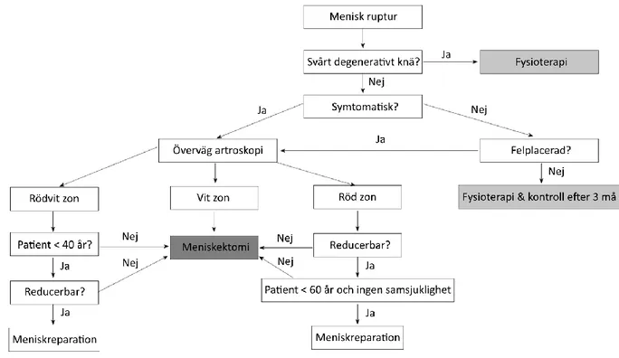 Fig. 1 Meniskruptur behandlingsträd, modifierad från Mordecai, Al-Hadithy et al.  10