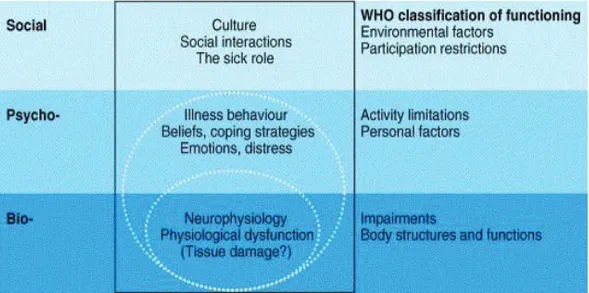 Figure 1. The bio-psycho-social model of disability, with components of the ICF 