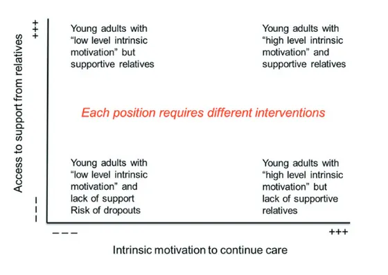 Figure 3 The positional map (Clarke, 2005) describe different positions taken with regard to  level of intrinsic motivation to continuing care and level of access to support from relatives
