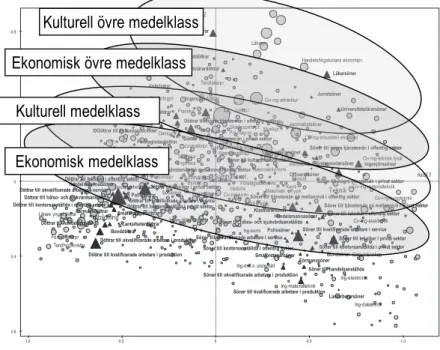 Figur 2.   Det svenska högskolefältet 2009 – 