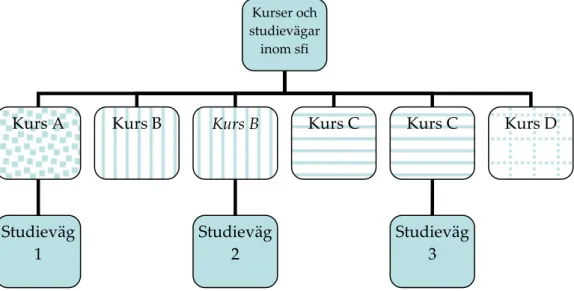 Figur 1  Kurser och studievägar inom sfi. 